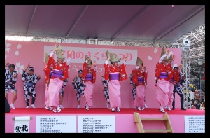 Dansuppträdande under körsbärsblommefestivalen i Yasukuni.